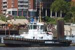 Schlepper PERFECT; Aufnahmeort: Elbe/Hafen Hamburg, Deutschland; Datum: 10.06.2015; Info: (IMO 9684756).