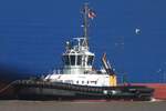Schlepper PETER (IMO 9445863); Datum: 12.07.2026; Aufnahmeort: Elbe/Hafen Hamburg, Deutschland.