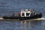 Schlepper TETJE (H 8006); Datum: 29.04.2026; Aufnahmeort: Elbe/Hafen Hamburg, Deutschland.