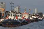 Schlepper VB BEAR (IMO 9701982); Eigner/Betreiber: Boluda/L&R; Datum: 08.08.2025; Aufnahmeort: Elbe/Hafen Hamburg, Deutschland. Das Bild zeigt die VB BEAR im Kreise ihrer Freunde am Schlepperponton Neumühlen.