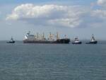 Die Cargo  AGAPI S  mit 3 Tugs  VB Coral + VB Pearl + Lieven Gevaert - Terneuzen - 18/07/2023