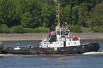 Schlepper WULF 5 (IMO 8912209); Datum: 08.05.2026; Aufnahmeort: Elbe/Hafen Hamburg, Deutschland.