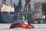 Schlepper ZP CHALONE; Eigner/Betreiber: Kotug; Aufnahmeort: Elbe/Hafen Hamburg, Deutschland; Datum: 06.02.2012; Info: (IMO 8103078  Lüa 28,5 m, B 10,36 m, Tg 5,06 m / BRZ 194 / 2 GM-Diesel, 2.238