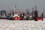 Schlepper ZP CONDON (IMO 8103066); Eigner/Betreiber: Kotug; Datum: 06.02.2012; Aufnahmeort: Elbe/Hafen Hamburg, Deutschland. Das Bild zeigt die ZP CONDON im Kreise ihrer Freunde am Schlepper-Ponton Neumühlen.