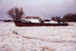 Eisbrecher Kietz vom WSA Eberswalde am 7.01.2011 auf Hhe Schwedt beim Eisaufbruch auf der Oder.