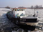 Der Eisbrecher STIER  vom WSA Magdeburg bei der Ausfahrt des RVK auf die Elbe am 4.3.2018.Foto Eisbrecherarchiv Mineif.