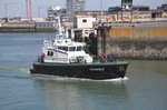 Zollboot Zeewolf aufgenommen 15.07.2016 im Hafen von Oostende