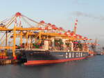 Die 'CMA CGM Laperouse' (IMO: 9454412)am 08.09.2012 im Hafen von Bremerhaven. Sie ist nach dem französichem Seefahrer und Weltumsegler 'La Pérouse'  benannt und ist eines von fünfzehn Schiffen der Entdecker-Serie 'Explorer-class contai ...