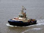 Der 25m lange Schlepper SVITZER VALE am 24.05.2025 in Bremerhaven.