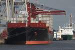 Frachtschiff CAPE CITIUS; Eigner/Betreiber: Luna Seatrading Inc; Aufnahmeort: Elbe/Hafen Hamburg, Deutschland; Datum: 14.07.2025; Info: (IMO 9848742). Das Bild zeigt das Containerschiff am Containerterminal der HHLA. 