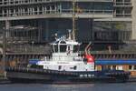 Schlepper VB RESOLUT; Eigner/Betreiber: Boluda/L&R; Aufnahmeort: Elbe/Hafen Hamburg, Deutschland; Datum: 30.06.2025; Info: (IMO 9684768) Ex-Name: BRAKE / Seeschiffsassistenz-Schlepper / Damen ASD 2411 / GT 268 / Lüa 24,47 m, B 11,33 m, Tg 5,54 m ...