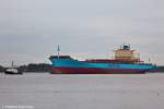 Die Lars Maersk auf der Elbe bei Grünendeich am 30.09.09.