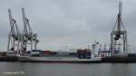 BIANCA RAMBOW (IMO 9297591) am18.1.2013, Hamburg, Stromliegeplatz Athabaskakai /  Open-Top-Containerschiff / BRZ 9981 / Lüa 134,44 m, B 22,5 m, Tg 8,71 m /8399 kW, 18,5 kn / Teu 868 /2004 bei Sietas