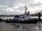 WILHELMINE (4)  (IMO 8007133) am 9.1.2016, Hamburg, Elbe, Schlepperponton Neumühlen,  mit neuer Schornsteinmarke und Reedereiflagge Neue Schleppdampfschiffreederei Louis Meyer,  Hamburg /     