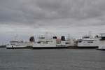 Die unter deutscher Flagge fahrenden Scandlines-Fähren (von links) KRONPRINS FREDERIK, DEUTSCHLAND und SCHLESWIG-HOLSTEIN im Fährhafen Puttgarden.