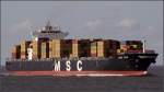 Die 2004 gebaute MSC ANS (IMO 9282261) ist am 18.08.2009 in die Elbe eingelaufen. Sie ist 294 m lang, 32 m breit, hat eine GT von 54304 und kann 4900 TEU transportieren. Sie fhrt unter der Flagge von Panama.