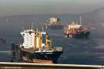 Die Columba mit der MSC Christine und der MSC Asya am Rsch-Park in Hamburg Finkenwerder am 02.12.09.