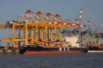 Die MSC Sandra lag am 6.7.2013 am Container Kai in Bremerhaven.