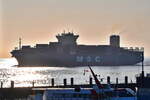 MSC ROUEN , Containerschiff , IMO 9975571 , Baujahr 2024 , 272 x 42.8 m , 7700 TEU ,  Cuxhaven - Alte Liebe , 06.04.2025 ,