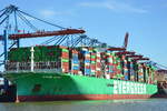 Die EVER ALOT Containerschiff IMO-Nummer:9893955 Flagge:Panama L�nge:400.0m Breite:61.0m Baujahr:2022 im Hamburger Hafen am 23.06.26  