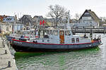 SEEFALKE im Hafen von Niendorf / Ostsee am 11.03.2023