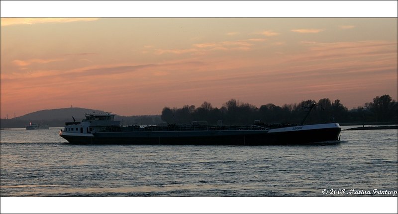 TMS Tankmotorschiff Europa-Nummer 2327079 - Die Daphne (Tolkamer/N) schippert im Sonnenuntergang den Rhein bei Duisburg-Bruckhausen flussabwrts. 