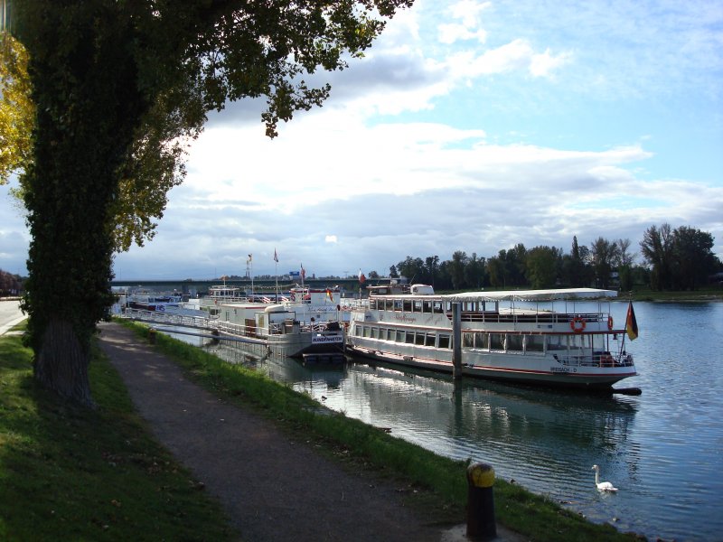  Volles Haus  im Rheinhafen von Breisach/Baden Okt.2008