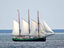  Pippilotta  -Dreimast-Gaffelschoner- Lg. 43,50m - Br.7,10m Segelfl�che 586 m2 - 425 PS - Heimathafen Hamburg am 07.08.09 auf der Hanse-Sail in Rostock-Warnem�nde gesehen. 