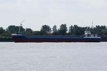 Die Monica IMO-Nummer:8810750 Flagge:Niederlande L�nge:74.0m Breite:12.0m Baujahr:1989 Bauwerft:Ferus Smit,Hoogezand Niederlande einlaufend in den Hamburger Hafen aufgenommen am 08.08.09 von Teufelsbr�ck.