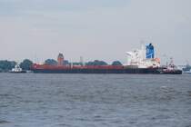 Mit der Hilfe von zwei Schleppern l�uft die Golden Saguenay IMO-Nummer:9383857 Flagge:Hong Kong L�nge:225.0m Breite:32.0m Baujahr:2008 Bauwerft:Nantong Rongsheng Shipbuilding,Shanghai China am 08.08.09 in den Hafen von Hamburg ein.Aufgenommen von Teufelsbr�ck.