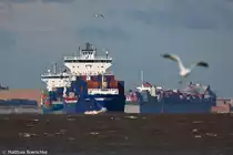 Die Empire und die Freya auf der elbe bei Lhe Sand am 12.10.09.