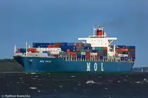 Die Mole Pace auf der Elbe am 30.05.09 bei Lhe-Sand.