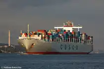 Die COSCO Oceania auf der Elbe am 24.07.09 bei Lhe.