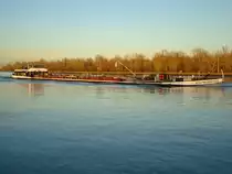MS  Neuenburgersee ,das vollbeladene Schweizer Frachtschiff
rheinaufwrts kurz vor Breisach/Baden,
Dez.2009