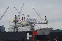 Der Cruise Liner Black Watch IMO-Nummer:7108930 Flagge:Bahamas Heimathafen:Nassau Lnge:205.0m Breite:25.0m Tonnage:28.613BRZ Geschwindigkeit:18 Knoten Besatzung:350 Passagiere:868 Kabinenanzahl:421 Bauwerft:Wrtsil,Helsinki Finnland Indienststellung:1972,Umbau 1996 im Dock 11 von Blohm und Voss am 12.12.09