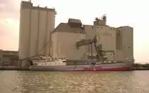 KMO STEENBORG beim Bunkern von Getreide im Hafen von Bsum ,Juni 2008, man kann deutlich sehen die Lastverteilung bei der Beladung, spter  liegt sie tief im Wasser