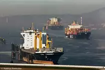 Die Columba mit der MSC Christine und der MSC Asya am Rsch-Park in Hamburg Finkenwerder am 02.12.09.