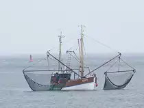 CUX11 holt im Bereich der Grimmershrnbucht bei Cuxhaven seine Netze ein;090825