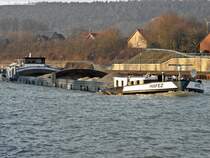 Name: Hafez
ex Name: Drenthe & Seewolf
gemeldet in: Bad Sassendorf
Nationalitt: Deutsch
Europanummer: 04001960
Fhrt fr: HTAG
Eichnr.: MID 1201

Technische Daten
Lnge: 85m
Breite: 8,20m
Tiefgang: 2,50m
Tonnen: 1150t
Baujahr: 1958
Erbaut in: Berlin-Spandau
Bauwerft: Lankewerft