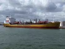 STOLT-SAPPHIRE;IMO-8309531;L=176, B=32mtr. im Hafengebiet von Antwerpen;100830