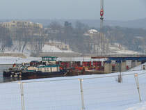 Schubboot EDDA (5609510) ex Nicole M, ex SCH 2514 Binnenreederei Berlin, auf der Elbe in Dresden bei den Vorbereitungen zum Einschwimmen des Mittelteils der Waldschl��chenbr�cke; momentan wird die Gleitbahn vom Ufer auf die Pontons verl�ngert; 16.12.2010
