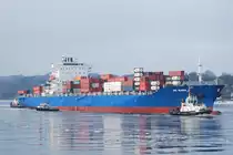 Die HS Bach IMO-Nummer:9323015 Flagge:Liberia L�nge:245.0m Breite:32.0m Baujahr:2007 Bauwerft:STX Offshore&Shipbuilding,Jinhae S�dkorea passiert einlaufend nach Hambur den R�schpark in Finkenwerder am 03.01.11