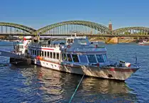 Fahrgastschiff  Lorley  der KD, Baujahr 1996, an der Rheinuferpromenade in K�ln - 10.10.2010