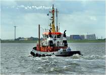 Schlepper  B�r  am 25.08.2010 auf der Weser vor Bremerhaven.IMO 8116697 / L:28m/B:9m/Tg:4,6m /1600 kw / 12kn