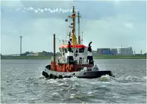Schlepper  B�r  am 25.08.2010 auf der Weser vor Bremerhaven.IMO 8116697 / L:28m/B:9m/Tg:4,6m /1600 kw / 12kn