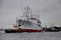 das Museumsschiff  Cap San Diego  (IMO 5060794) am 31.07.2010 bei der Auslauf-Parade (Cruise Days) auf der Elbe vor den St.Pauli Landungsbr�cken.