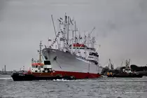 das Museumsschiff  Cap San Diego  (IMO 5060794) am 31.07.2010 bei der Auslauf-Parade (Cruise Days) auf der Elbe vor den St.Pauli Landungsbr�cken.