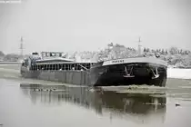 Name: Mor�ne
gemeldet in: Ibbenb�ren
Nationalit�t: Deutsch
EuNr.: 4018460
L�nge: 85m 
Breite: 9,5m 
Tonnage: 1404t

Aufgenommen in Birgte zu Berg im Dezember 2010.