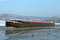 Name: Reimar
gemeldet in: Haren/Ems
Nationalit�t: Deutsch
Europanummer: 04401530
L�nge: 80m
Breite: 8,2m
Tiefgang: 2,12m
Tonnage: 1127t
Maschinenleistung: 600 PS
Maschinen-Hersteller: MAN
Baujahr: 1954
Erbaut in: Deutschland
Bauwerft: bei der Bayerischen Schiffswerft Erlenbach 

Aufgenommen in Birgte zu Tal im Januar 2011.