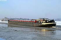 Name: Reimar
gemeldet in: Haren/Ems
Nationalit�t: Deutsch
Europanummer: 04401530
L�nge: 80m
Breite: 8,2m
Tiefgang: 2,12m
Tonnage: 1127t
Maschinenleistung: 600 PS
Maschinen-Hersteller: MAN
Baujahr: 1954
Erbaut in: Deutschland
Bauwerft: bei der Bayerischen Schiffswerft Erlenbach 

Aufgenommen in Birgte zu Tal im Januar 2011.